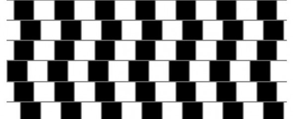 Brainteaser - eine Gurke wiegt 1.200 Gramm